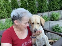 ein Bild aus dem Album